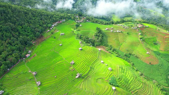 Drone flying over fields in Pa pong piang rice terraces alt