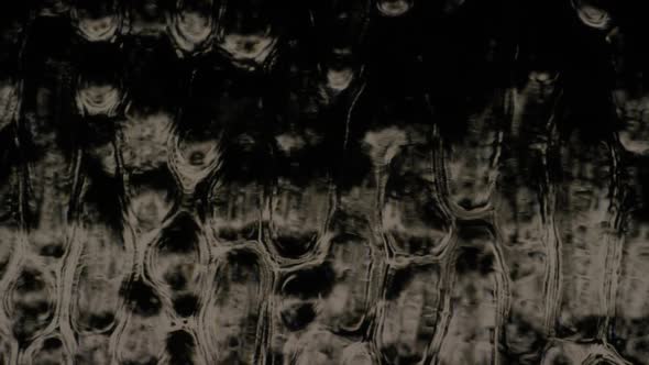 Cinematic Abstract Motion Background (No CGI used) 1239 alt