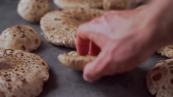 Picking fresh mushrooms Macrolepiota procera from the table, slide, close up alt