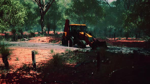 Excavator Tractor in Bush Forest alt