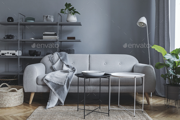 Stylish Nordic Living Room With Design, Teal Rug Grey Sofa Designs