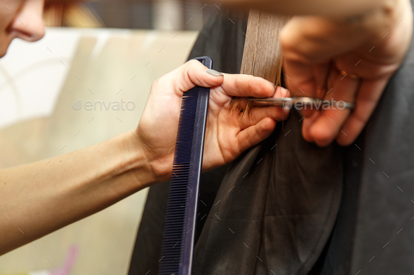 Professional hairdresser dyeing hair of her client in salon. Haircutter cuting hair. Selective focus - Stock Photo - Images