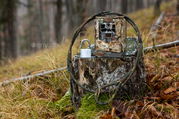 Trail camera in a metallic protection box with cable and lock