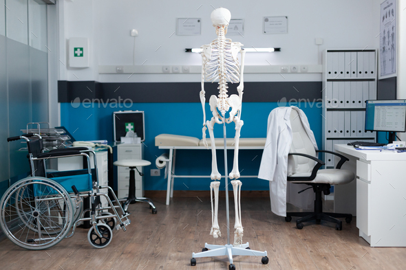 Back shot of human body skeleton standing in empty doctor office