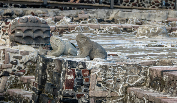 Frogs and Serpent Sculptures in Aztec Temple at ruins of Tenochtitlan - Mexico City, Mexico