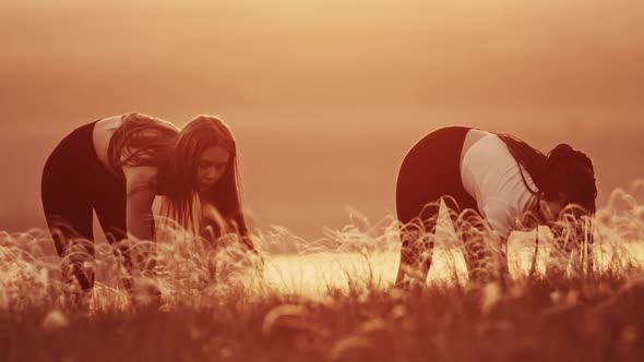 Two Young Women Doing Warm Up Exercises on Sunset Wheat Field  Bending Down alt