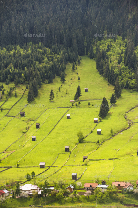 Rural landscape of the Bukovina Region, Sadova, Romania Stock Photo by ...