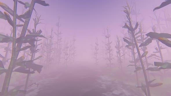 Fog And Forest