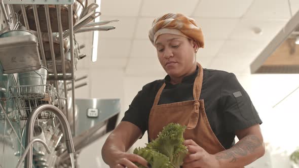 Woman Washing Fresh Veggies alt