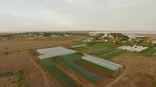 Greenhouses On Agricultural Fields