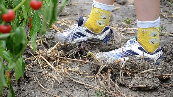 Walking In The Garden Mud 2