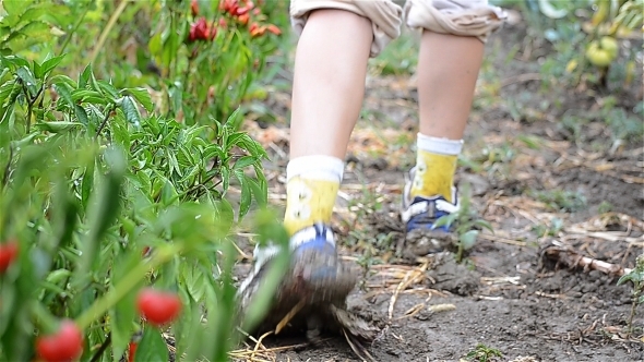 Walking In The Garden Mud 1