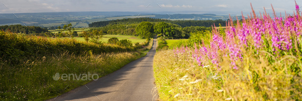Country road in Northumberland National Park, near Hexham, England, United Kingdom, Europe