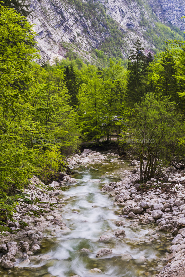 Bohinj River in the Bohinj Basin, Triglav National Park, Julian Alps ...