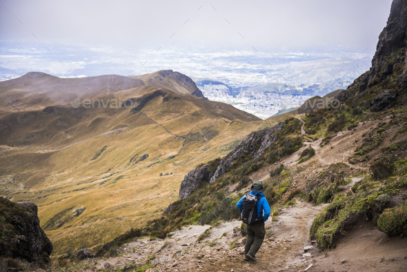 trek quito