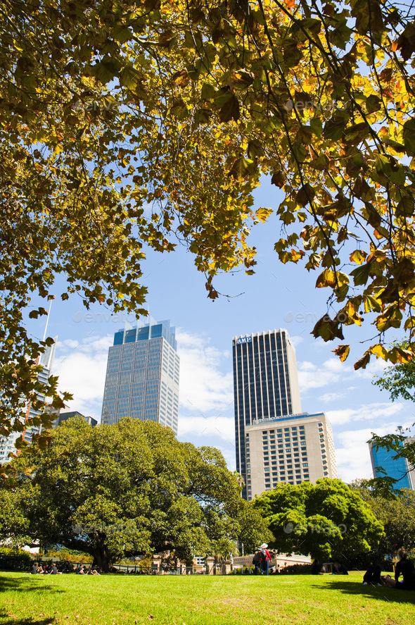 High rise office buildings from Sydney Royal Botanic Gardens, New South Wales, Australia