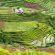Aerial Photo of Terraced Vegetable Fields, Wonosobo Town, Dieng Plateau, Central Java, Indonesia - PhotoDune Item for Sale
