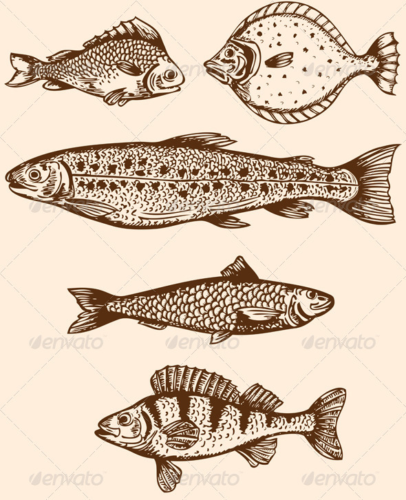 Vintage Fish - Animals Characters