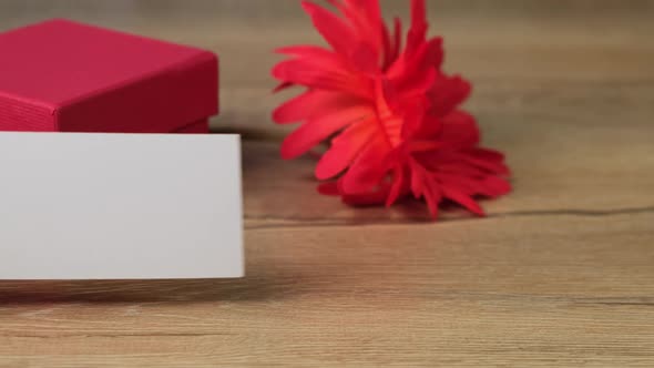 Empty blank visiting card with red flowers and gift box. Close up. HD