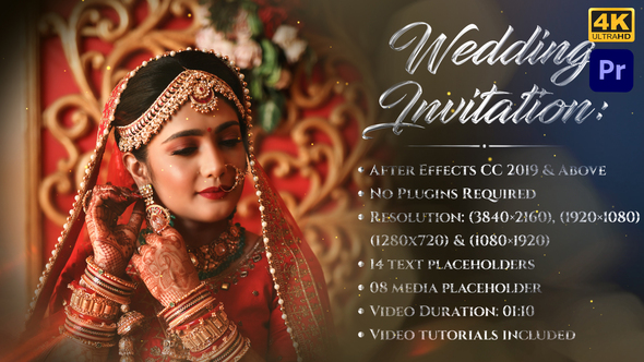 Royal Indian Wedding Invitation-4K-Silver_MOGRT