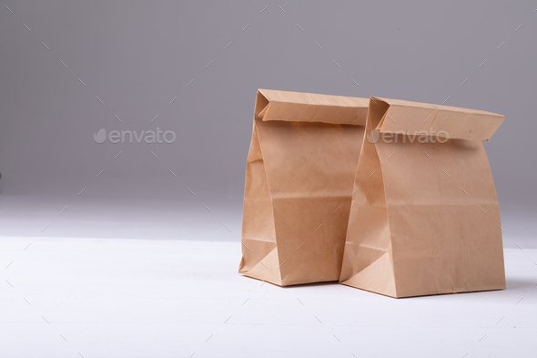 paper lunch bag template