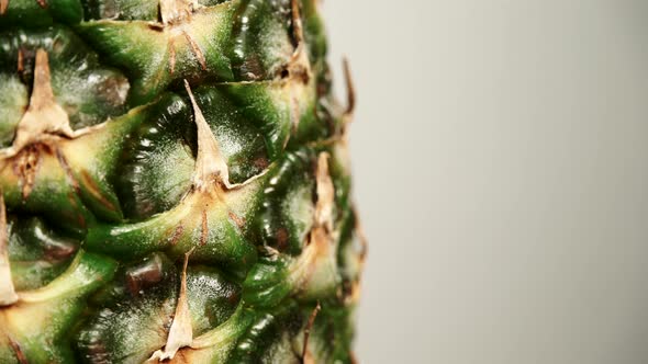 Ananas Fruit Rotating alt