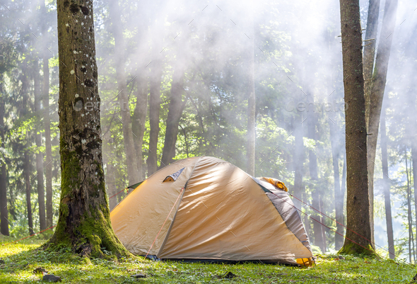Camping tent in green forest in spring sunny morning with fog haze among trees. Recreation concept