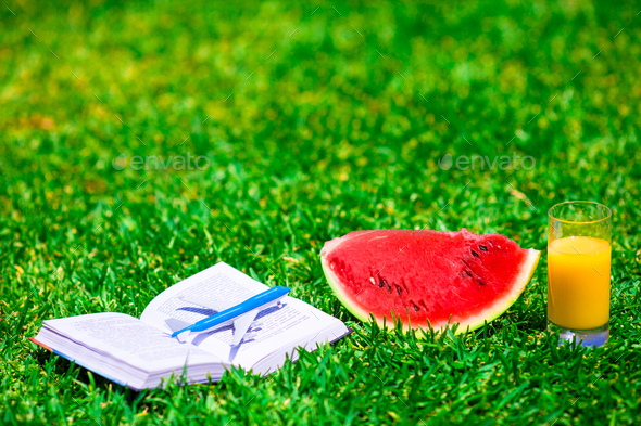 Red ripe slice watermelon, glass of orange juice, book and airplane model on green grass
