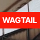 Wagtail - Typography Opener - VideoHive Item for Sale