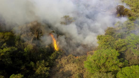 Fires set by settlers to clear brush and trees burn in Brazilian Pantanal - aerial view of deforesta alt