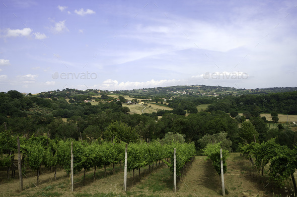 Country landscape in Benevento province, Campania, Italy, at summer - Stock Photo - Images