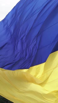 Vertical Video National Flag of Ukraine By Day alt