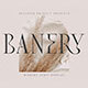 Banery - Modern Serif