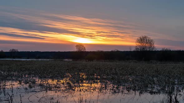 View of swamp at sunset.