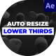 Auto Resize Lower Thirds - VideoHive Item for Sale