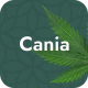 Cania - Marijuana Medical WordPress - ThemeForest Item for Sale
