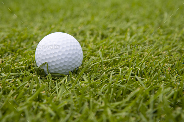 Close-up of golf ball in grass - Stock Photo - Images