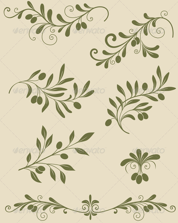 Decorative Olive Branch - Flourishes / Swirls Decorative