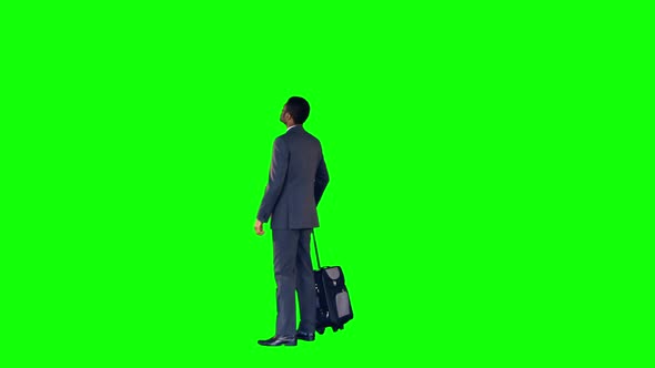Businessman standing with luggage alt