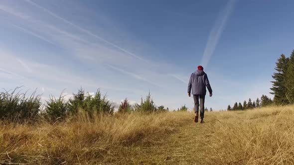 Man Walking Meadow