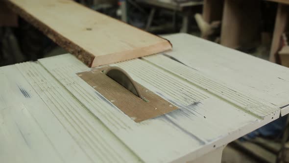 Circular Table Saw Cutting Wood in Carpenter Workshop alt