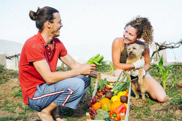 Happy couple with their dog gathering fresh fruits and vegetables from their garden house