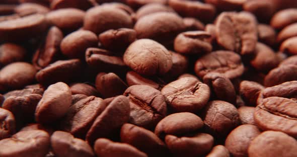 Coffee Beans Closeup detail