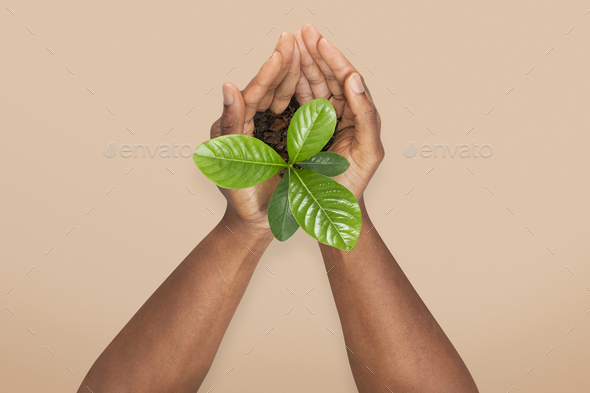 Hands cupping plant save the environment campaign