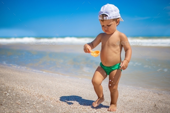 Background of small shells on the beach in the summer. Stock Photo