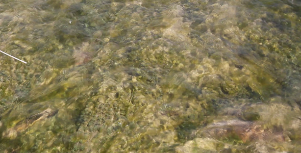 River Water Close Up