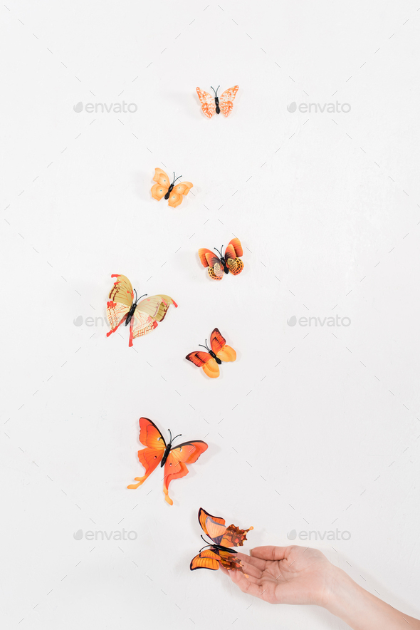 cropped view of woman releasing orange butterflies on white background, environmental saving concept