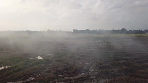 Paddy field open burning in evening at Malaysia alt