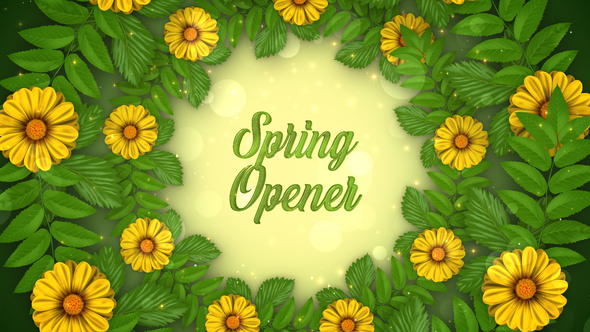 Spring Opener