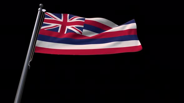 Hawaii State Flag  With Alpha Channel 4K alt